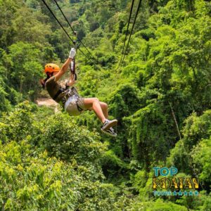 roatan zipline tour - toproatan.com