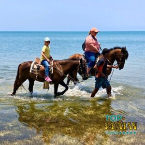 Horseback Riding Adventure with Chocolate, Rum, Crafts, and Colorful Sign Tour - toproatan.com