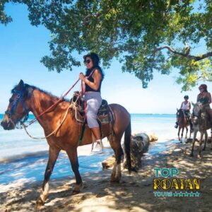 Top Roatan Horseback Riding Ziplines Wildlife More - toproatan.com